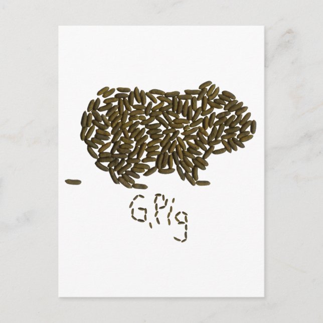 Carte Postale G. Cochon" avec cochon de Guinée classique (Devant)