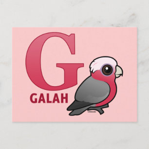 Carte Postale G est pour Galah