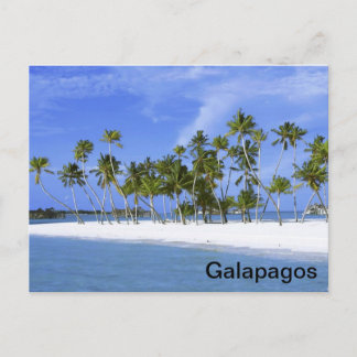 Carte Postale Galapagos - plage