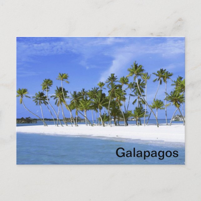 Carte Postale Galapagos - plage (Devant)
