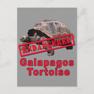 Carte Postale Galapagos Tortoise Tshirts d'art en voie de dispar