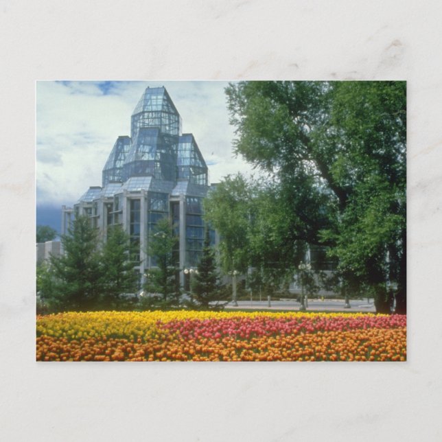 Carte Postale Galerie d'art nationale rouge, Ottawa, fleurs du C (Devant)