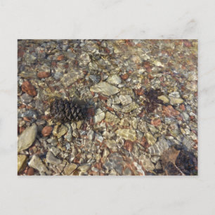 Carte Postale Galets dans Taylor Creek Nature Photography