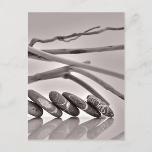 Carte Postale Galets et bois flotté