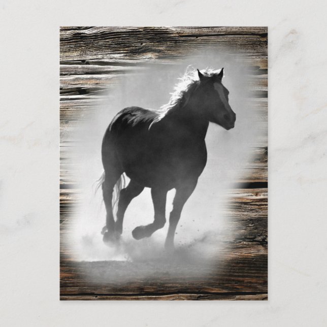 Carte Postale Galloping de Wild Horse (Devant)