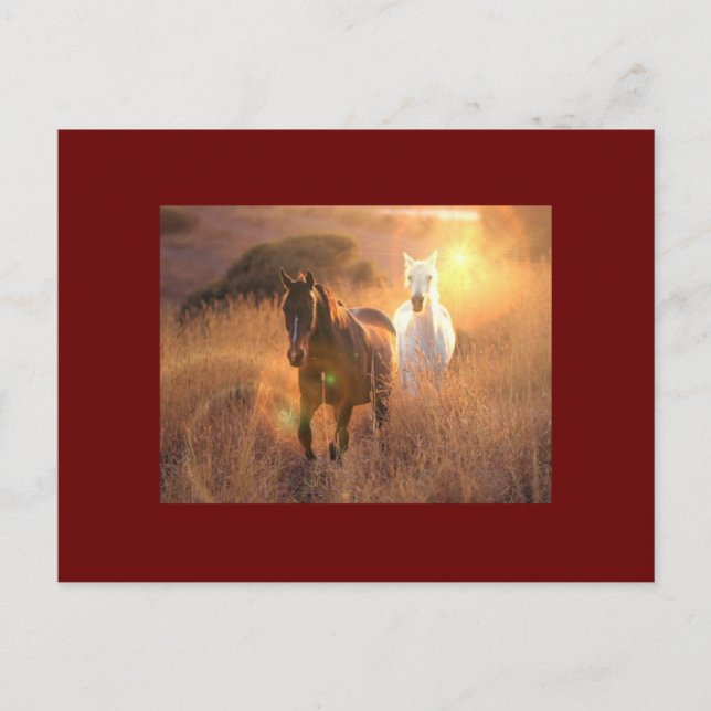 Carte postale Galloping Wild Horses (Devant)