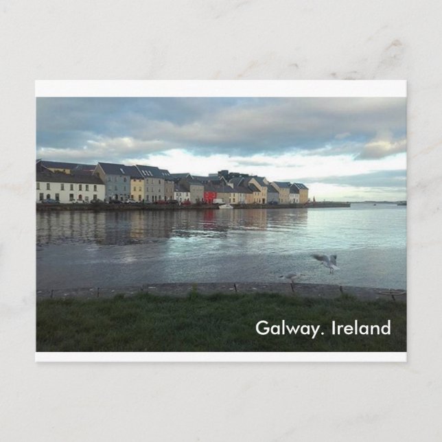 Carte postale Galway Irlande (Devant)
