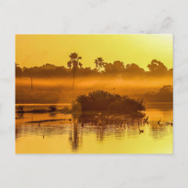 Carte postale Gambia Sunrise