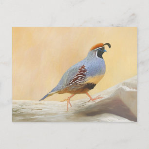 Carte Postale Gambrel's Quail Painting Original Bird Art