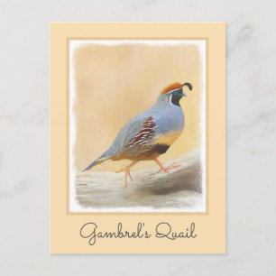 Carte Postale Gambrel's Quail Painting Original Bird Art