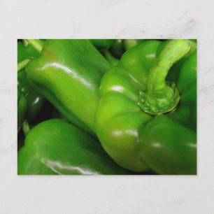 Carte Postale Gamme de cadeaux de clochers verts