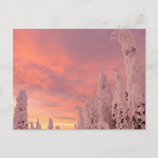 Carte Postale Gamme de Whitefish | Whitefish, Montana (Devant)