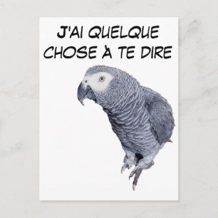 Carte Postale Gamme Perroquet - Gris du Gabon