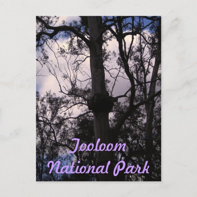 Carte Postale Gammes UNESCO Gondwana, Australie (Devant)