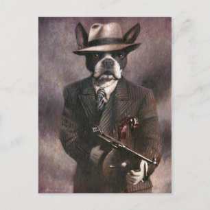 Carte postale Gangster Boston Terrier des années 1