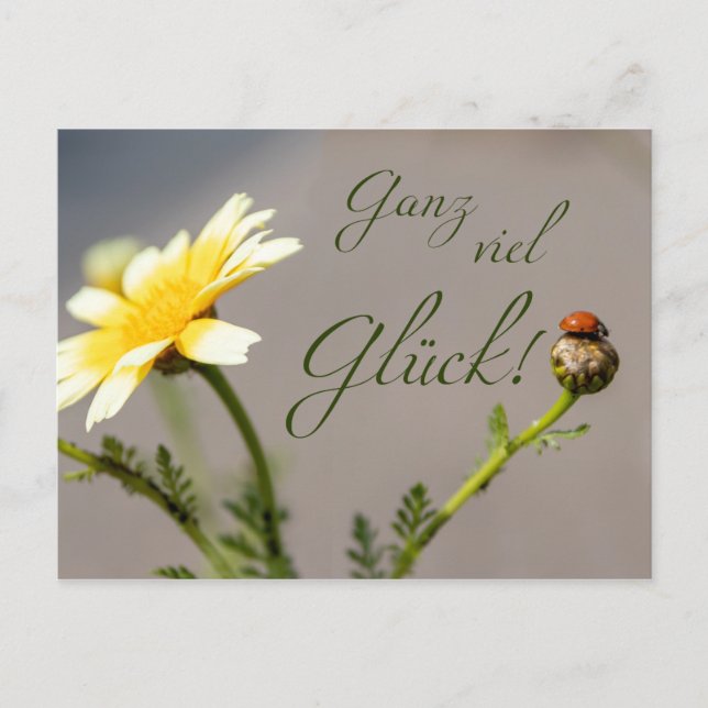 Carte Postale Ganz viel Glück - mit Marienkäfer ! (Devant)