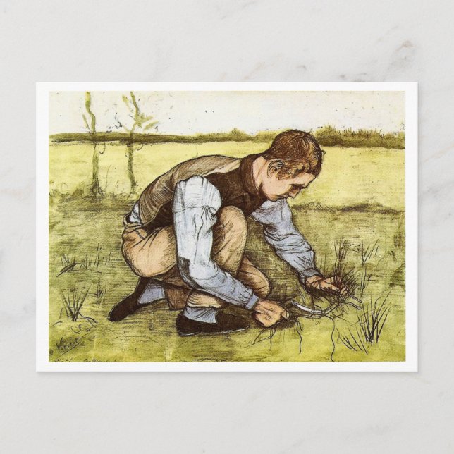 Carte Postale Garçon coupant l'herbe avec la faucille, Vincent v (Devant)