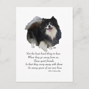 Carte Postale Garde de Pomeranian noir