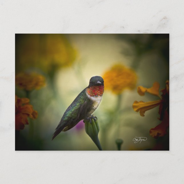 Carte Postale Garde permanente (Devant)