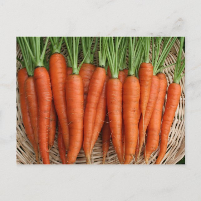 Carte Postale Garden Fresh Heirloom Carrots (Devant)