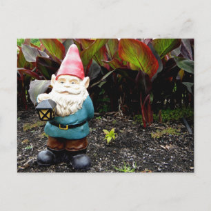 Carte Postale Garden Gnome