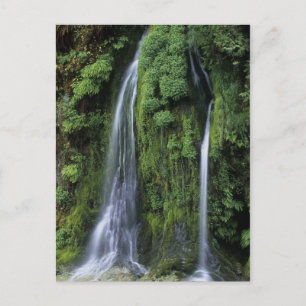 Carte postale Garden of Eden