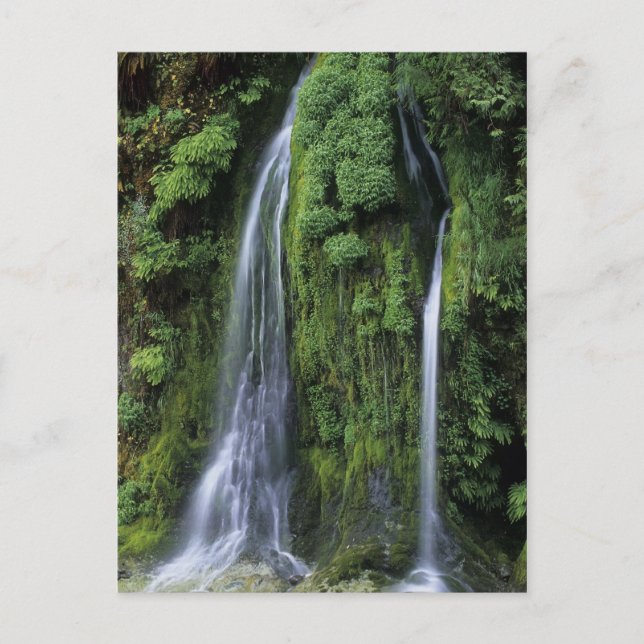 Carte postale Garden of Eden (Devant)