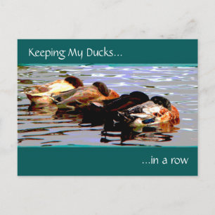 Carte Postale Garder Mes Canards En Ligne