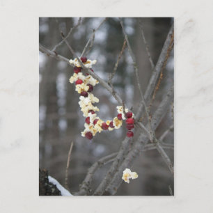 Carte Postale Garland de maïs et de canneberges