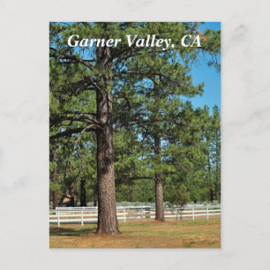 Carte postale Garner Valley