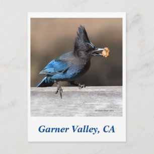Carte postale Garner Valley