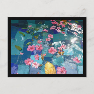 Carte Postale garnir sur l'eau