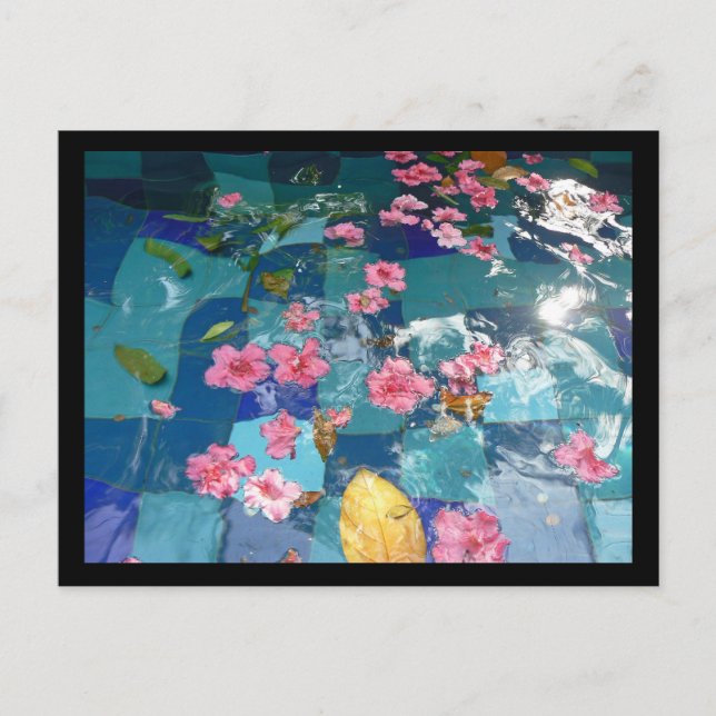 Carte Postale garnir sur l'eau (Devant)
