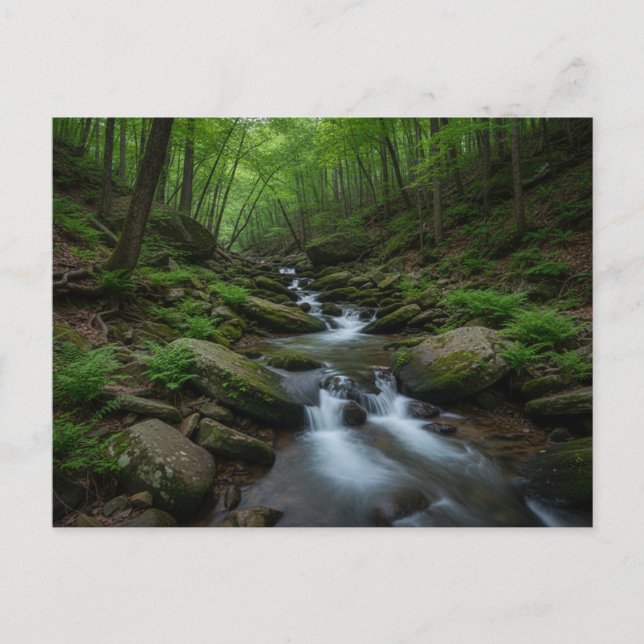 Carte Postale Gatlinburg , Tennessee Forest waterfall (Devant)