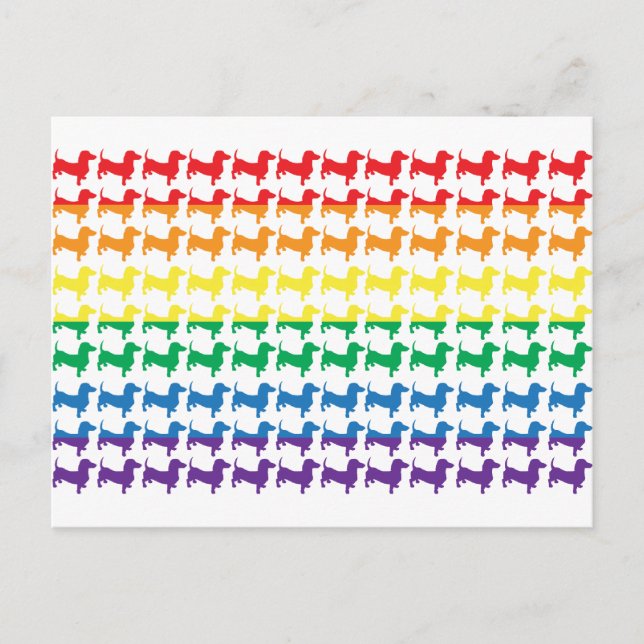 Carte Postale Gay pride Rainbow Dachshunds (Devant)