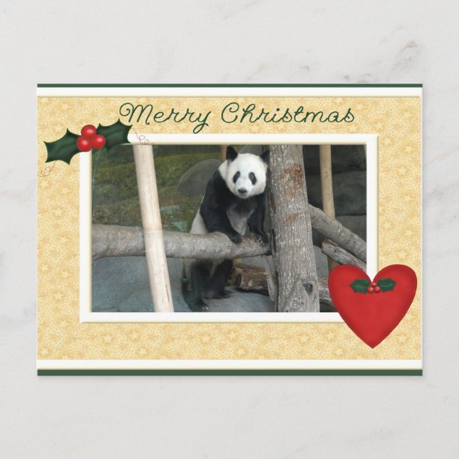Carte postale géante de Noël de panda d'ours panda (Devant)