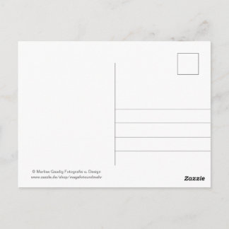 Carte Postale Geburtstags Schneckenpost