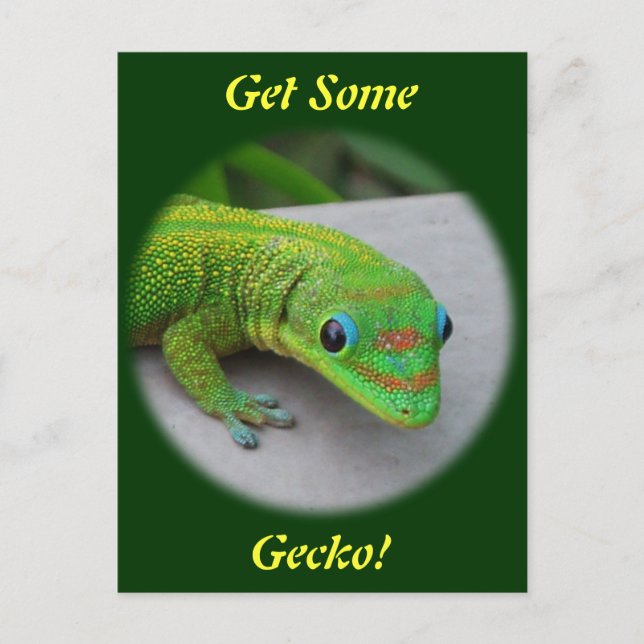Carte Postale Gecko Gold Dust Day - Audition et obtenir quelques (Devant)