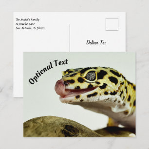 Carte Postale Gecko léopard
