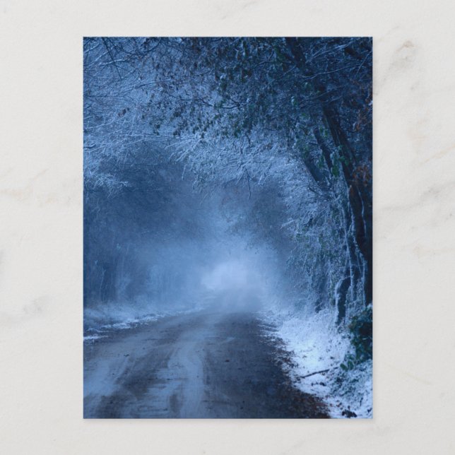 Carte Postale Gelé (Devant)