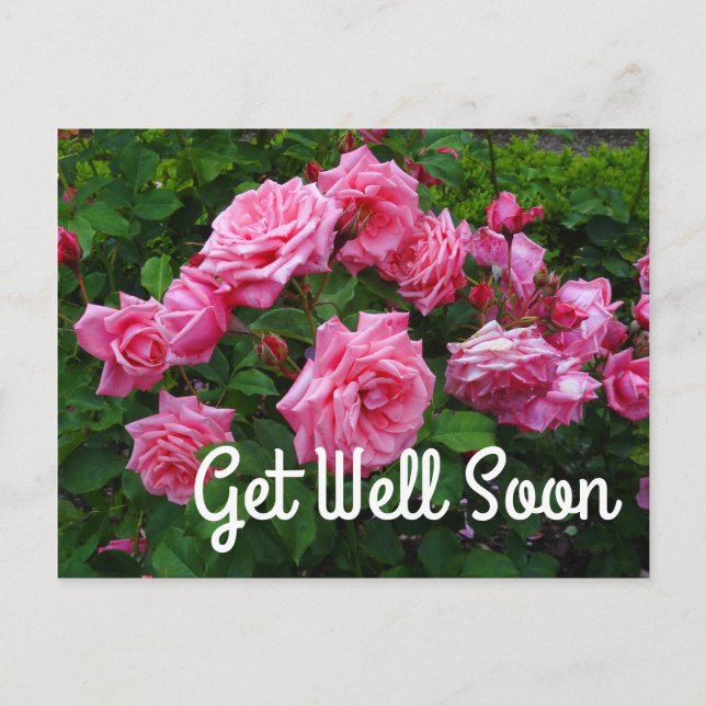 Carte postale Gene Boerner Rose #2 « Remettez-vous (Devant)