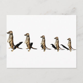 Carte Postale Génotype