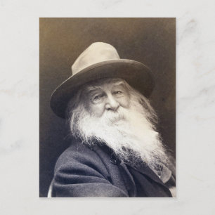 Carte Postale George C. Cox Walt Whitman