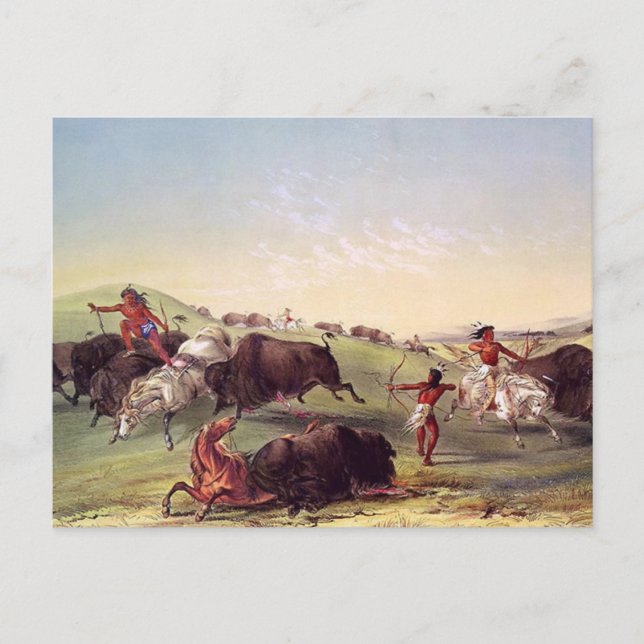 Carte Postale George Catlin - chasse de Buffalo (Devant)