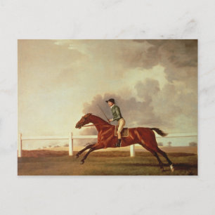 Carte Postale George Stubbs   Bay Malton avec John Singleton Up,