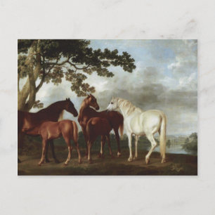 Carte Postale George Stubbs-Mares et Foies dans un paysage fluvi
