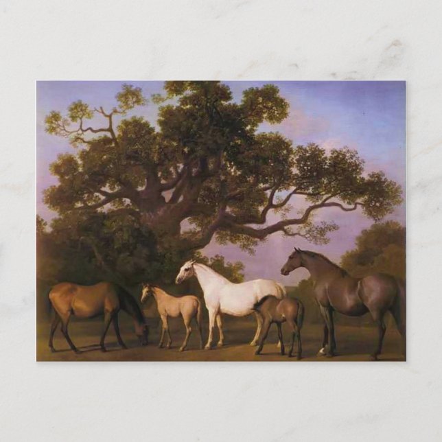 Carte Postale George Stubbs - Mares et poulains sous un chêne (Devant)