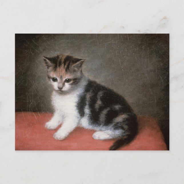 Carte Postale George Stubbs | Miss Ann White's Kitten, 1790 (Devant)