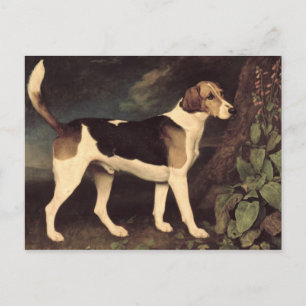 Carte Postale George Stubbs   Ringwood, un Brocklesby Foxhound, 