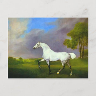 Carte Postale George Stubbs - Un Cheval Gris
